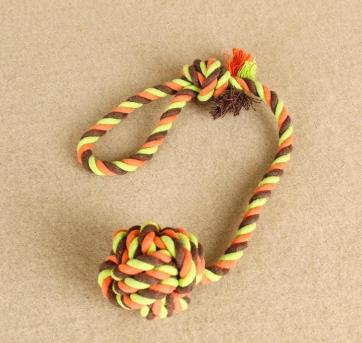 Miniatura 3 de COMBO PARA MASCOTAS